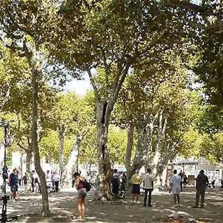 Junior Saint-tropez, Renove 2023, Plein Centre, Piscine, Climatise!